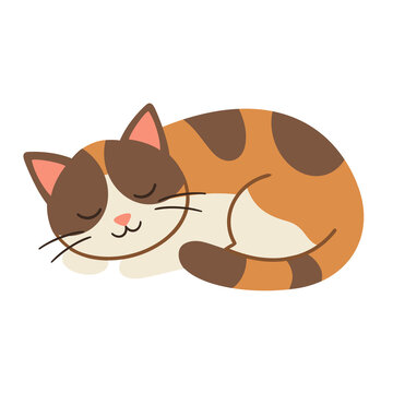 Cute Sleeping Kitty