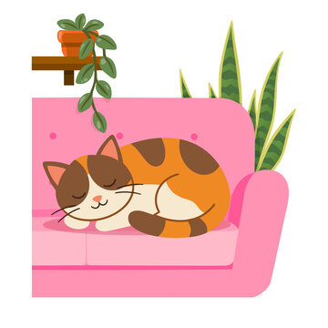 Cat Sleeping On A Couch