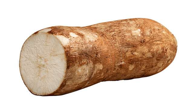Fresh whole cassava root with realistic brown skin texture, centered isolated PNG on transparent background