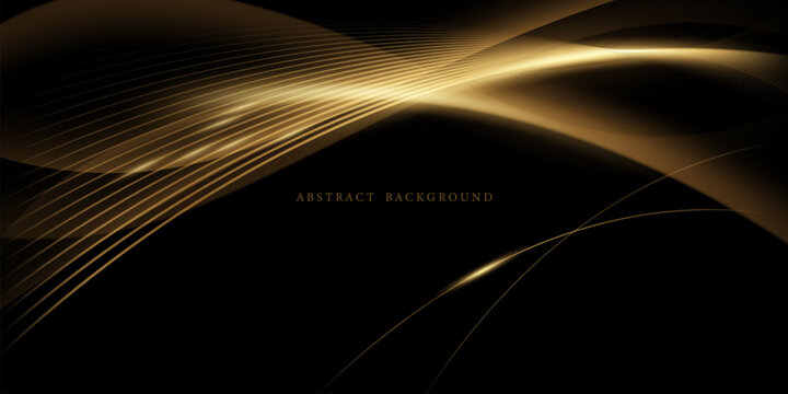 Modern abstract vector design with a black background and luxurious elements.