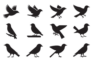 Naklejka premium Bird Flight and Wildlife Silhouette Collection
