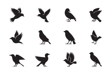 Naklejka premium Wild Bird Silhouette Set for Nature and Wildlife Design