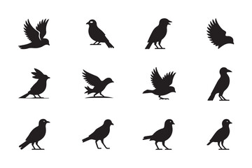 Naklejka premium Bird Wildlife Black Silhouette Set with Different Poses