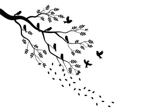 Minimalist vector illustration features perched birds on curved tree branch with scattered foliage design isolated on white background for wall decor graphics.