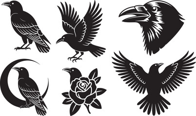 Naklejka premium Raven crows in various poses sitting flying head and with moon rose elements.