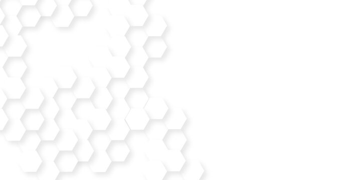 Background with hexagons . Abstract background with lines . white texture background . hexagon abstract background. Surface polygon pattern with glowing hexagon paper texture and futuristic business