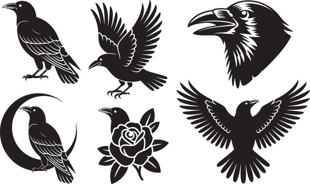 Raven crows in various poses sitting flying head and with moon rose elements.