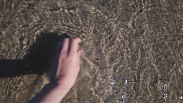 Person holding orange seashells while walking along sandy beach shore with clear water during sunny summer day.