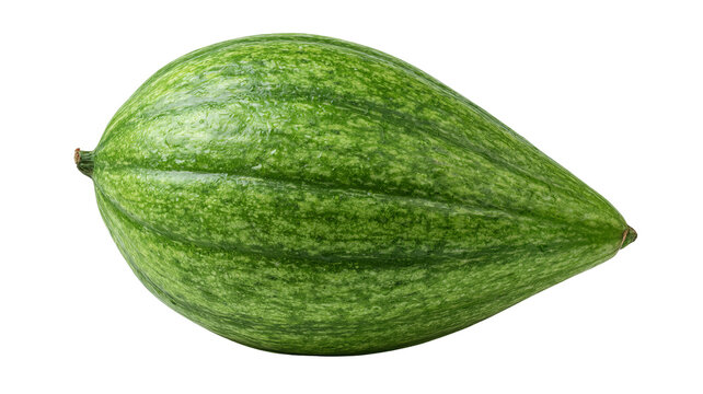 Fresh whole pointed gourd with highly detailed realistic green skin texture, centered isolated PNG on transparent background