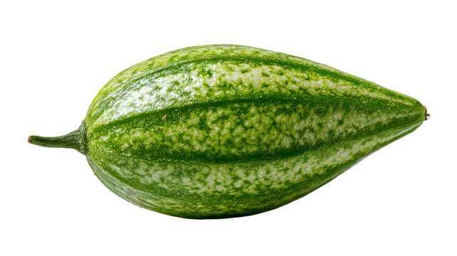 Fresh whole pointed gourd with highly detailed realistic green skin texture, centered isolated PNG on transparent background