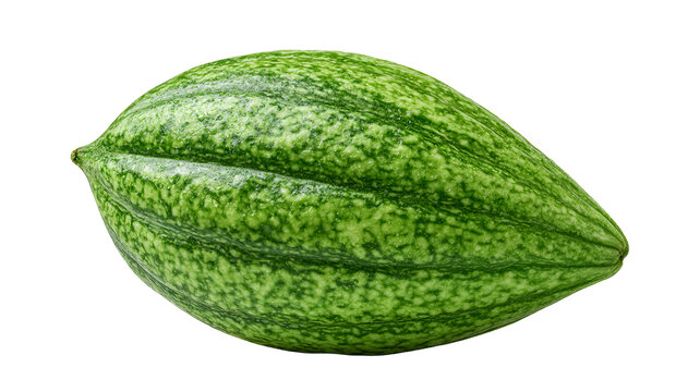 Fresh whole pointed gourd with highly detailed realistic green skin texture, centered isolated PNG on transparent background