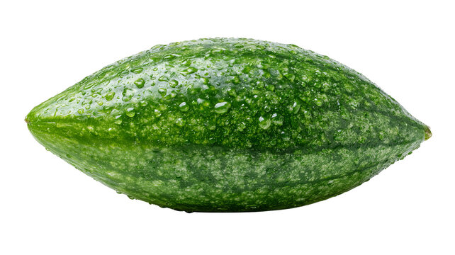 Fresh whole pointed gourd with highly detailed realistic green skin texture, centered isolated PNG on transparent background