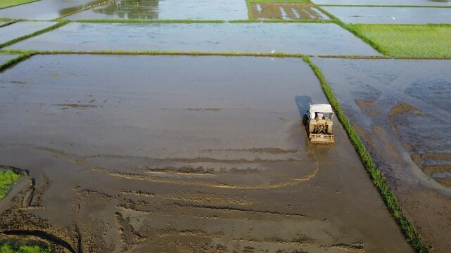 Agricultural Tractor Tillering Mud in Waterfilled Paddy Field Before Rice Planting. Asian Rice Farming Tractor Plowing Muddy Soil in Flooded Agricultural Field. 