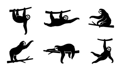 Naklejka premium Sloth Vector Icons Set, Cute Animal Silhouettes, Hanging and Climbing Poses, Black and White Graphics for Wildlife and Nature Designs