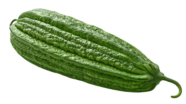Fresh whole ridge gourd with highly detailed realistic green ridged skin texture, centered isolated PNG on transparent background