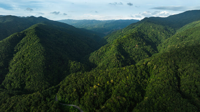 Aerial tropical forest landscape featuring a winding highway, perfect for corporate Sustainability Reports, Green Finance communication, Climate Resilience planning, Renewable Energy investment