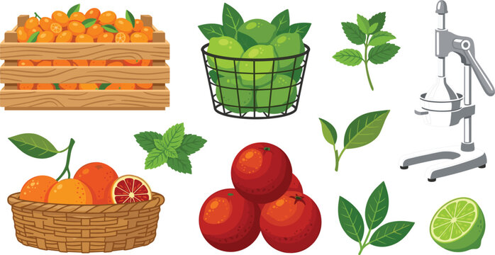 Citrus Harvest Vector Set featuring Orange Crate Lime Basket Mechanical Juicer and Fresh Mint Leaves for Juice Bar Product Packaging Designs