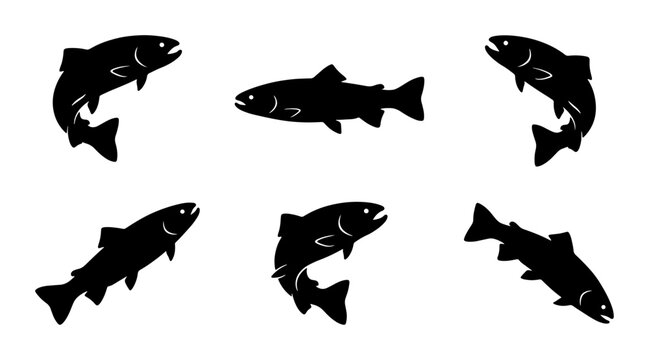 Six Silhouette Trout Vector Icons, Aquatic Wildlife Graphics, Fresh Water Fish Illustrations, Seafood and Fishing Theme Elements