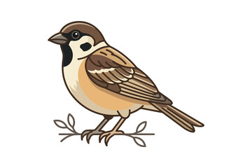 Obraz premium House Sparrow Flat Vector Illustration