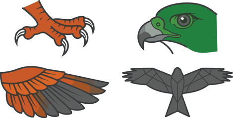 Obraz premium Vector bird of prey illustration set including eagle head sharp talon hawk wing and soaring silhouette