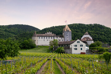 Fototapeta premium Scenic landscape of medieval schloss birseck castle and vineyard in Switzerland