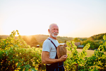 Obraz premium Experienced senior winemaker standing proudly in his sunny vineyard, holding a hat, smiling at the camera
