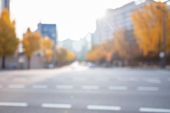 Abstract blurred modern wide urban avenue background with road markings and golden ginkgo trees
