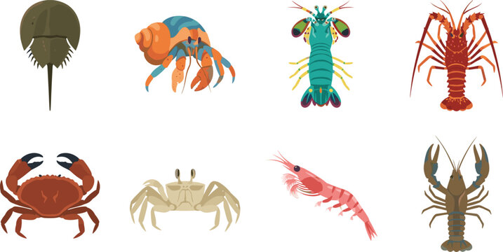Marine Crustacean Icon Set with Crab Lobster Shrimp Hermit Crab and Horseshoe Crab