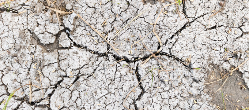 dry cracked soil	
