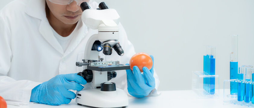 Scientist check chemical food residues in laboratory. Control experts inspect quality of fruits, vegetables. lab, hazards, ROHs, find prohibited substances, contaminate, Microscope, Microbiologist