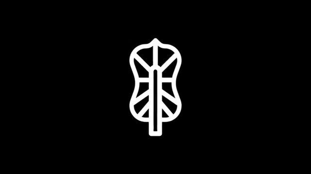 Abstract white leaf shape animation on a black background