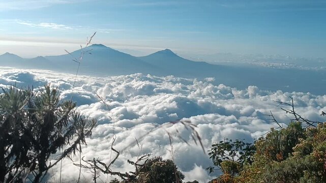 Pemandangan lautan awan dan rumput yang bergoyang