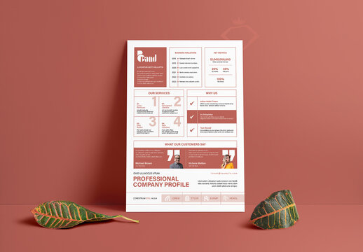 Professional Company Profile