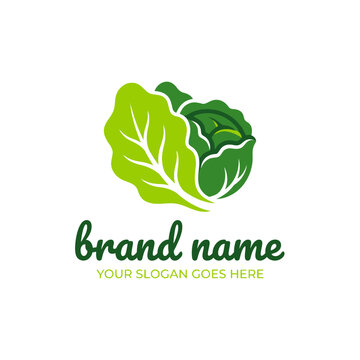 Green cabbage or lettuce vegetable logo design.