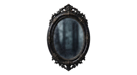 Fototapeta premium Ornate antique black mirror with spiderwebs and misty reflection
