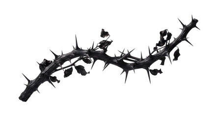 Curved black thorny branch with dark leaves and sharp spikes © Chanapat