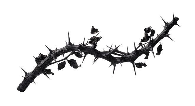 Curved black thorny branch with dark leaves and sharp spikes