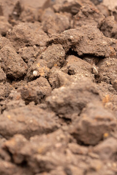 Clay soil, poor quality heavy top soil, freshky dug in a garden background backdrop. Home gardening chore concept