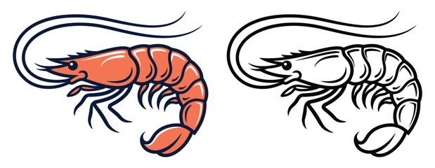 Fototapeta premium Detailed illustration of a shrimp in color and a black and white line drawing