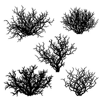Dead bush silhouette vector set, leafless winter shrub collection, black dry tumbleweed and desert plant graphics isolated on White Background