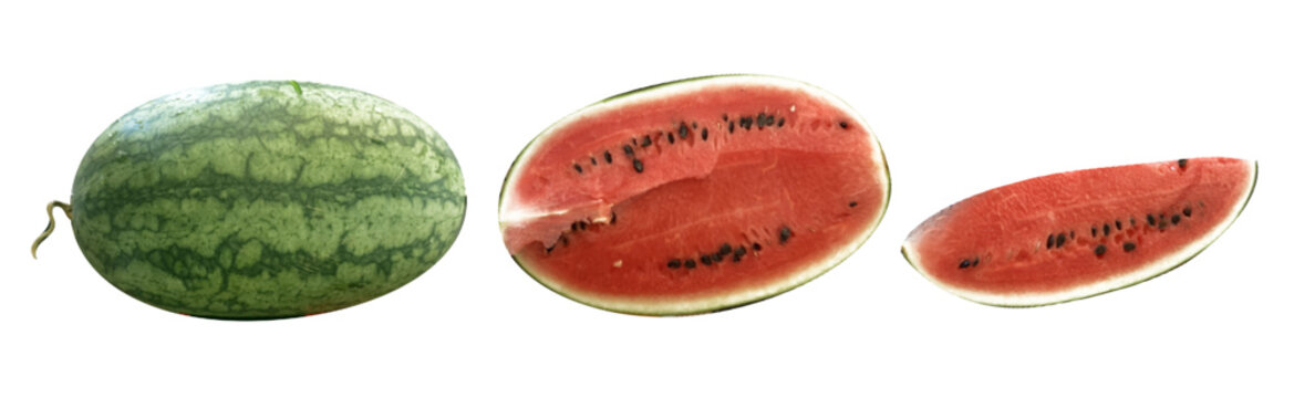 Collection of realistic vector watermelon, cut out collage element in dotted style. Halftone water melon slice, sticker isolated on transparent background for mixed media design