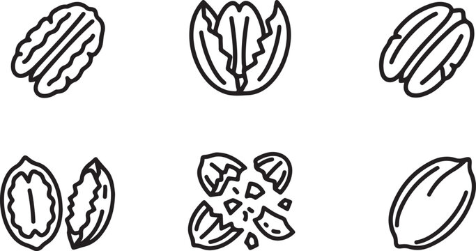 Pecan nuts icon set. Outline vector collection of shelled and cracked organic nut snacks.