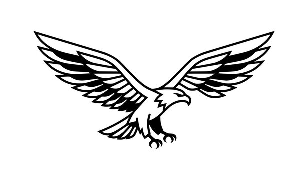Powerful soaring eagle outline vector icon representing freedom and strength