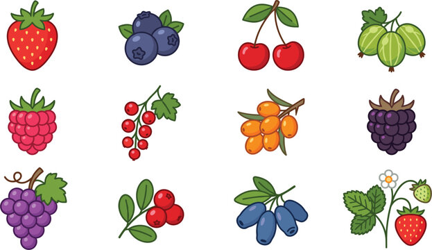 Colorful collection of fresh garden berries, sweet fruits, and delicious summer harvest icons, vector