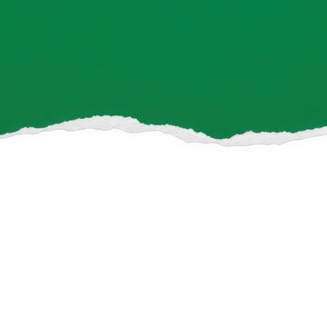 Green landscape with wavy white line representing horizon or water edge transparent background