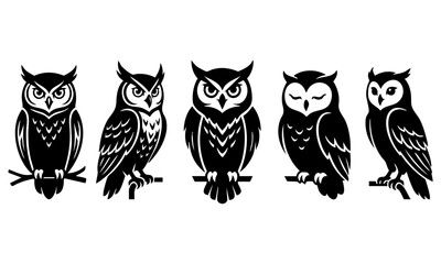Fototapeta premium Set of black and white owl bird icons featuring different poses and expressions in vector