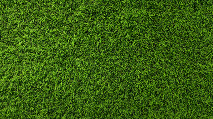 Fototapeta premium Seamless Green Grass Texture Background for Landscape Design and Garden Projects