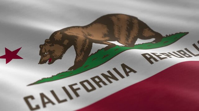 California - waving flag loop