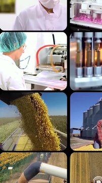 Global Industry and Farming Multi-Window Montage - 8x4 Video Grid of Business Industries, Factories and Agribusiness. Mega Split Screen Corporate Video.