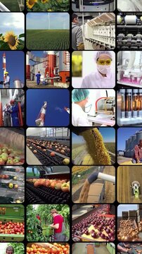 Massive Industrial Multiscreen Grid - Energy, Agriculture, Manufacturing and Automation, Food Production and Diverse Workers. Global Industry and Farming Multi-Window Montage.